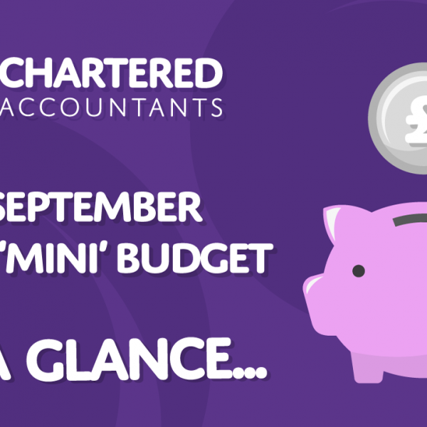mini budget